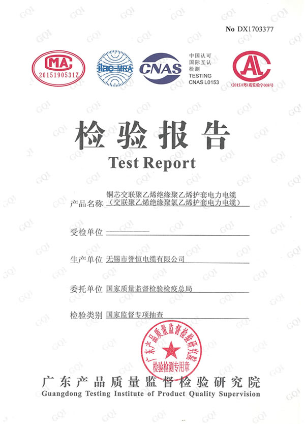 <b>���鱨��</b>