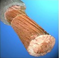 �纸������1