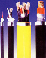 ���Ͼ�Ե���Ƶ���