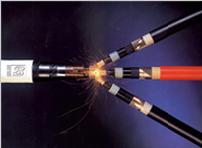 ������ϡ��Ե���Ƶ���