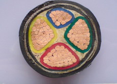 NH-VV,NH-VV220.6/1KV������