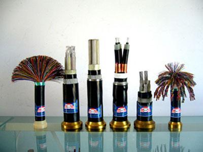 ��֧��������