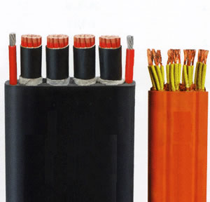 ���ݵ���